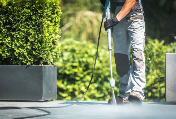 Best Sidewalk and Walkway Cleaning  in Mayflower Village, CA